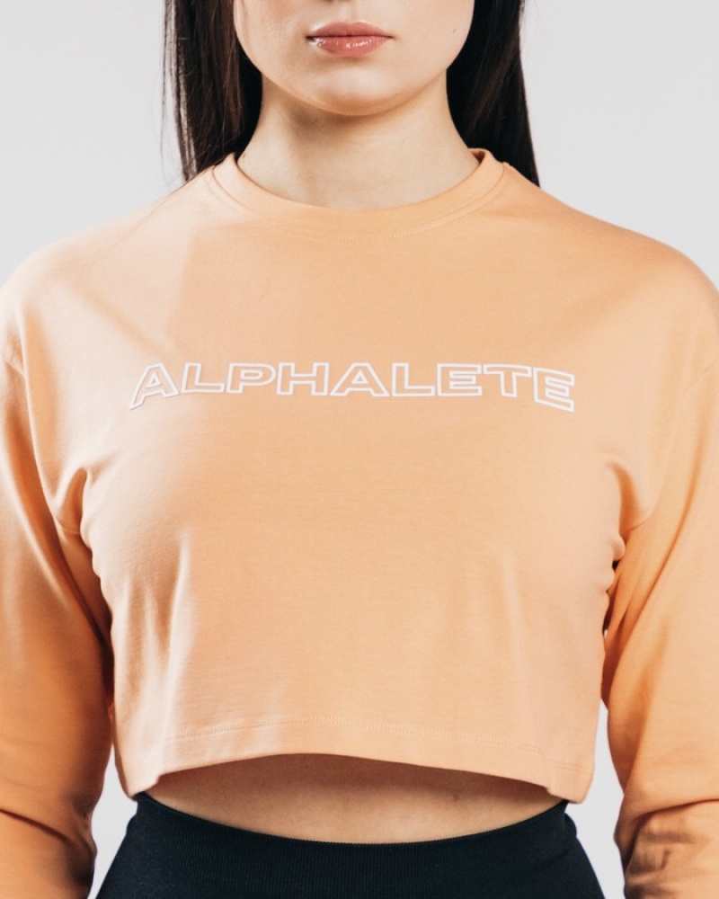 Tricouri Dama Alphalete Outlined Long Sleeve Crop Portocalii | 128465-PMI