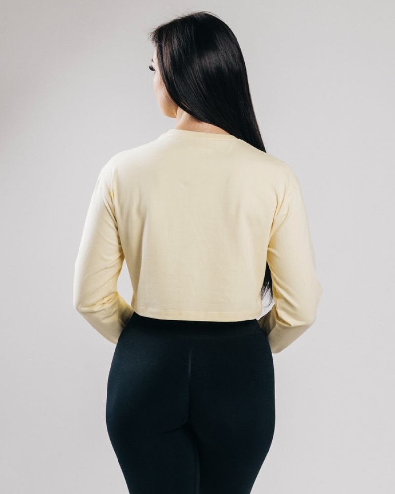 Tricouri Dama Alphalete Outlined Long Sleeve Crop Albastri Deschis | 973120-JLO