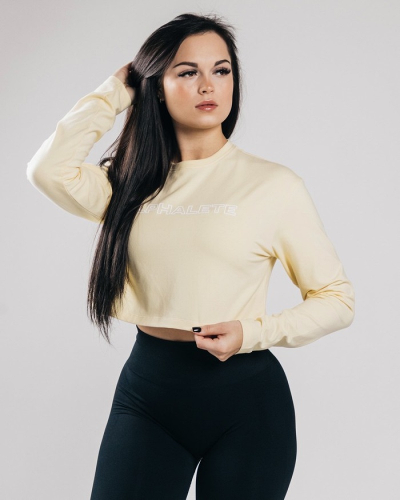 Tricouri Dama Alphalete Outlined Long Sleeve Crop Albastri Deschis | 973120-JLO