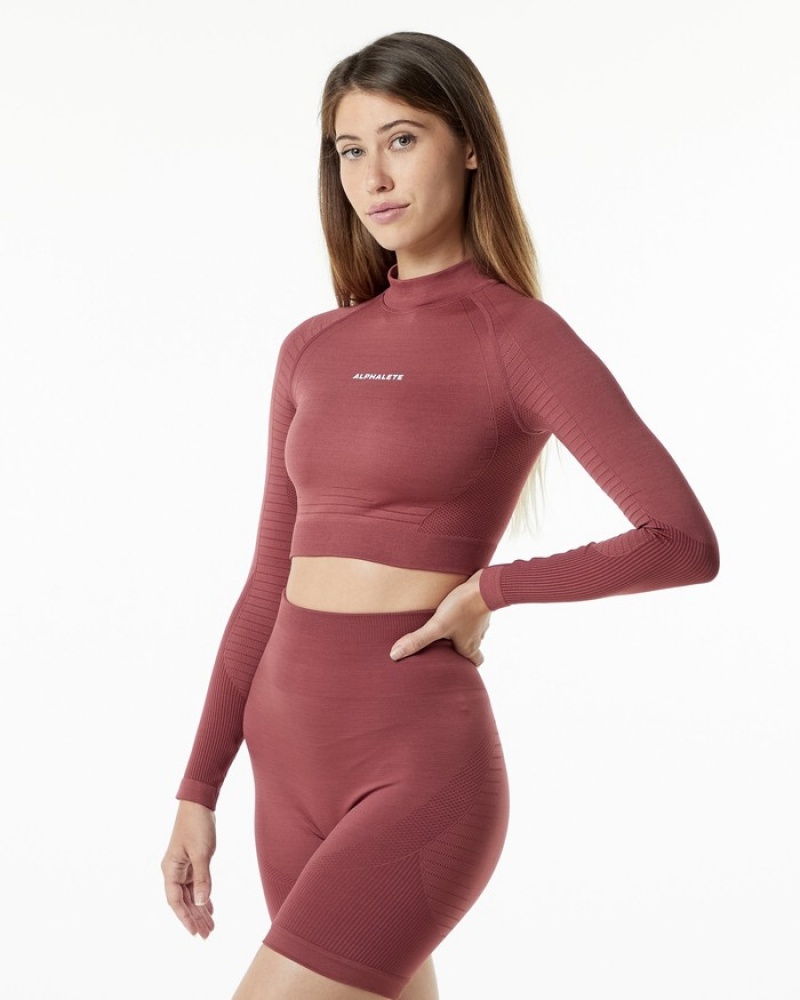 Tricouri Dama Alphalete Ozone High Neck LS Crop Visinii | 187562-USE