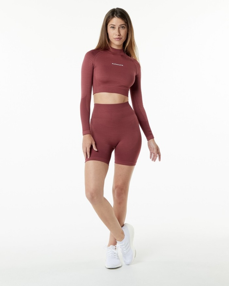 Tricouri Dama Alphalete Ozone High Neck LS Crop Visinii | 187562-USE