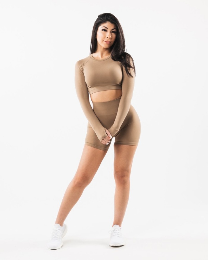 Tricouri Dama Alphalete Stratus LS Crop Gri | 284509-GKY