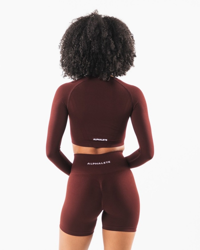 Tricouri Dama Alphalete Stratus LS Crop Visinii | 420617-FIZ